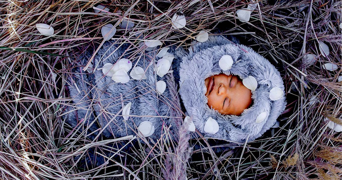 Baby Zano nest Photoshoot