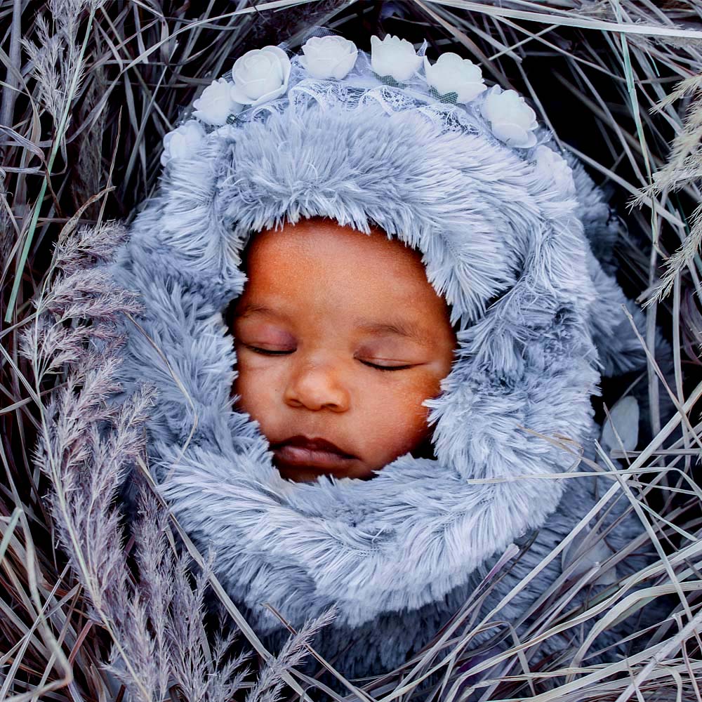 Baby Zano nest Photoshoot